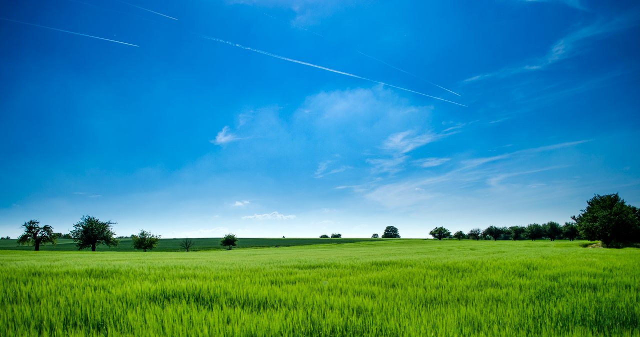 OSHC for Regional Australia: Are There Cheaper Plans or Special Benefits?